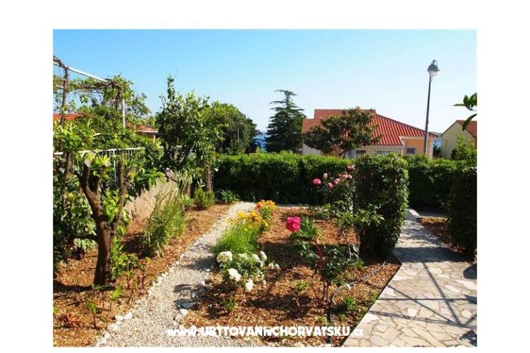 Villa Fani – photo 7
