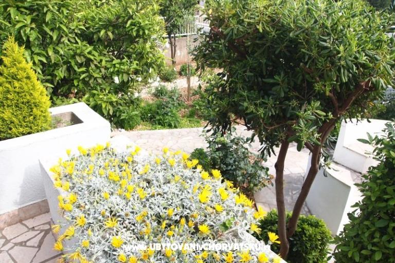 Villa Fani – photo 8
