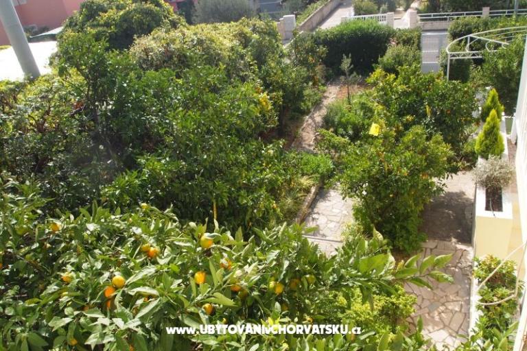 Villa Fani – photo 9