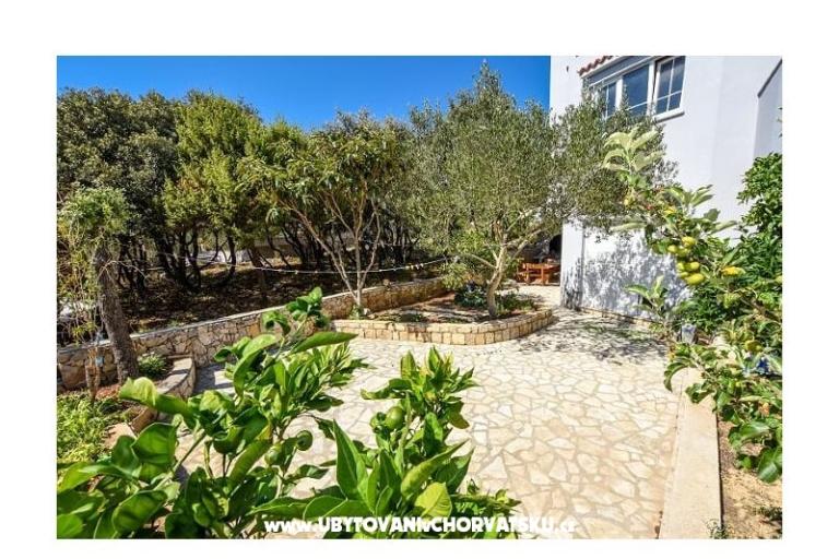 Apartment Šime – photo 11