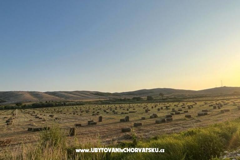 Apartments Anica – photo 42