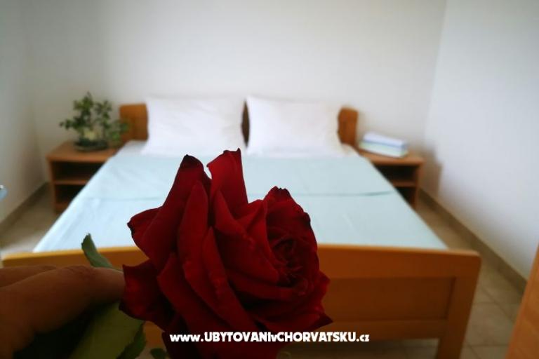 Apartments Elenor – photo 4