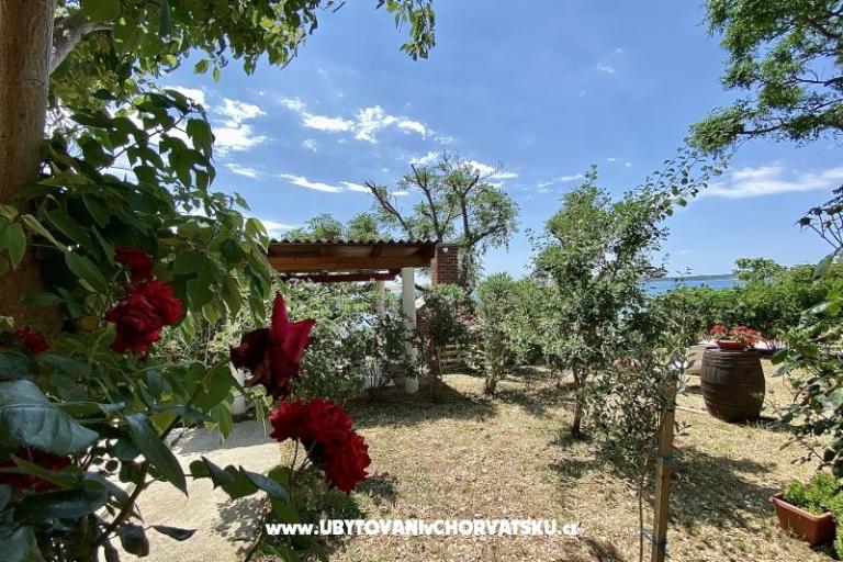 Apartments FRANE – photo 24