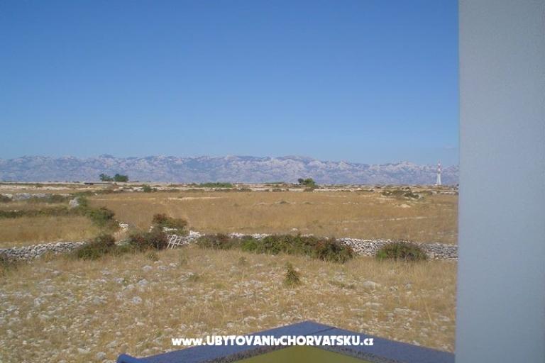 Apartments IVA(iza kampa) – photo 9