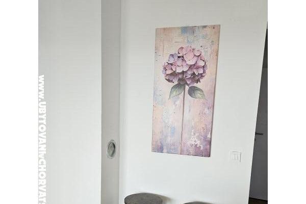 Apartments Jonke – photo 14