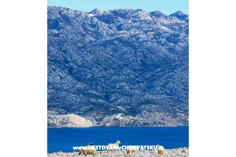 Apartments Lili – photo 45