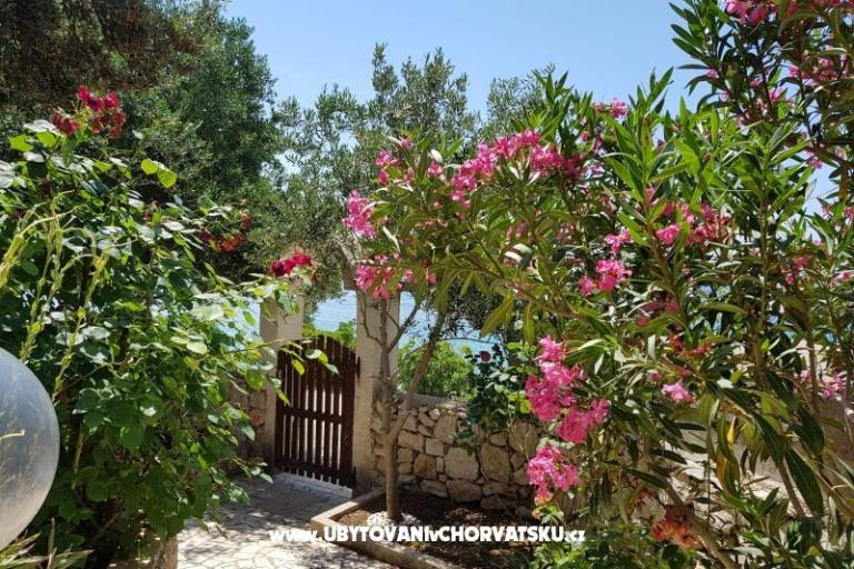 Apartments Milena i Robert – photo 2