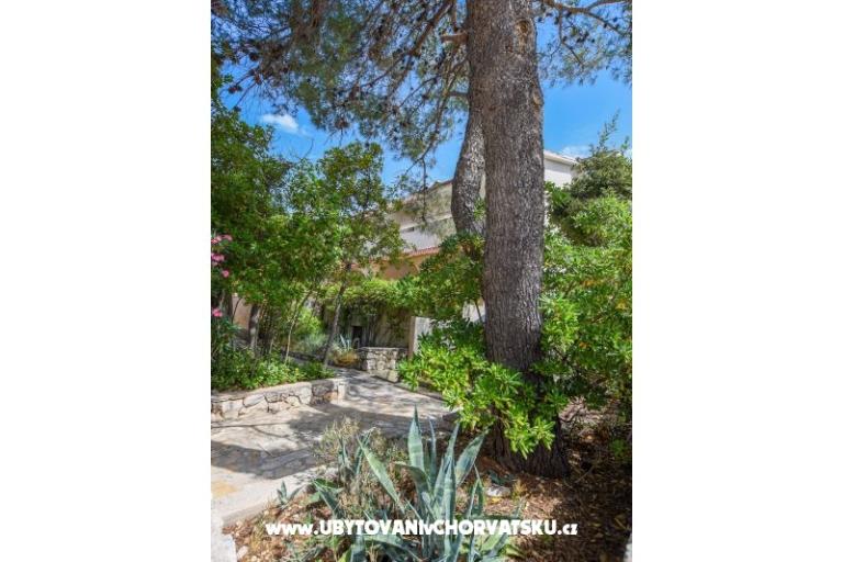 Apartments Oleandra – photo 12