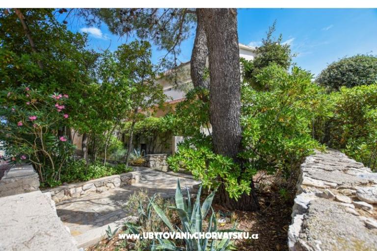 Apartments Oleandra – photo 13