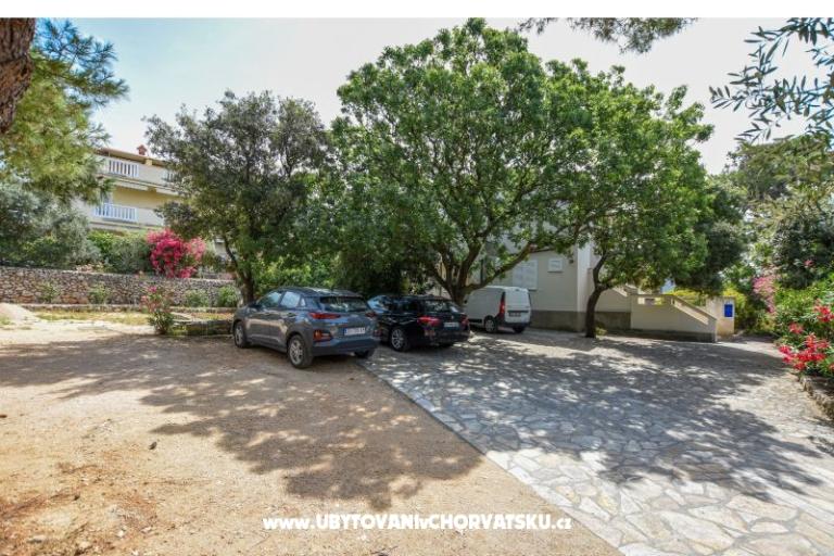 Apartments Oleandra – photo 15