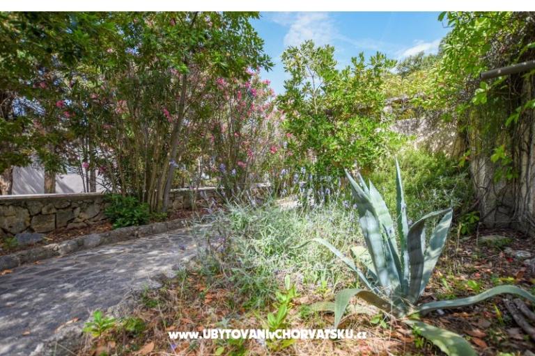 Apartments Oleandra – photo 6