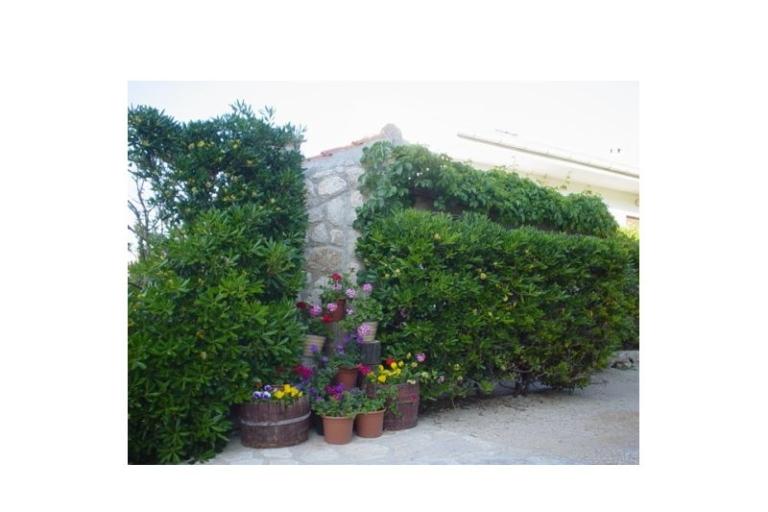 Apartments Pag – photo 10