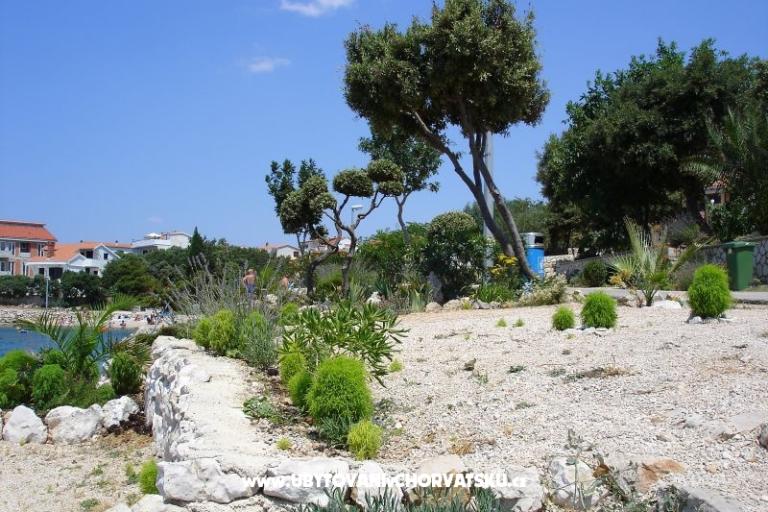 Apartments Salvia island Pag Mandre – photo 12