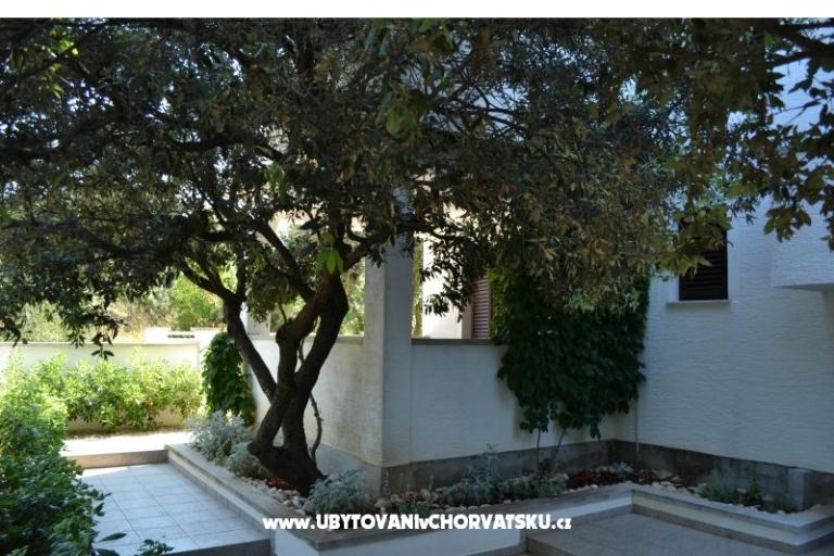 Apartments Salvia island Pag Mandre – photo 13