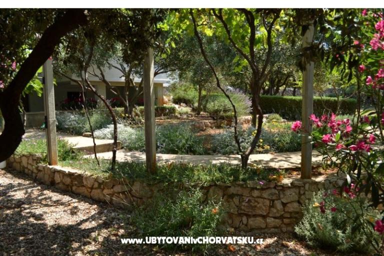 Apartments Salvia island Pag Mandre – photo 15