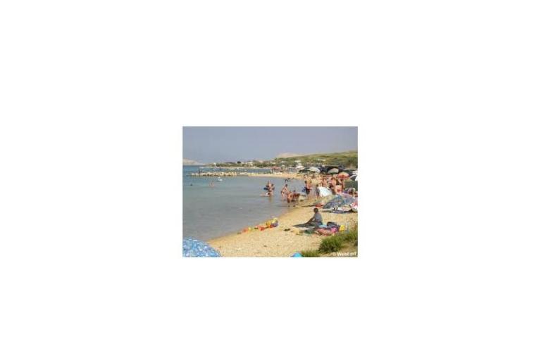 Apartments Salvia island Pag Mandre – photo 16