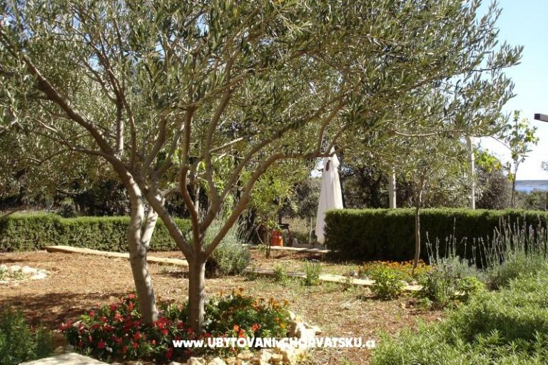 Apartments Salvia island Pag Mandre – photo 18