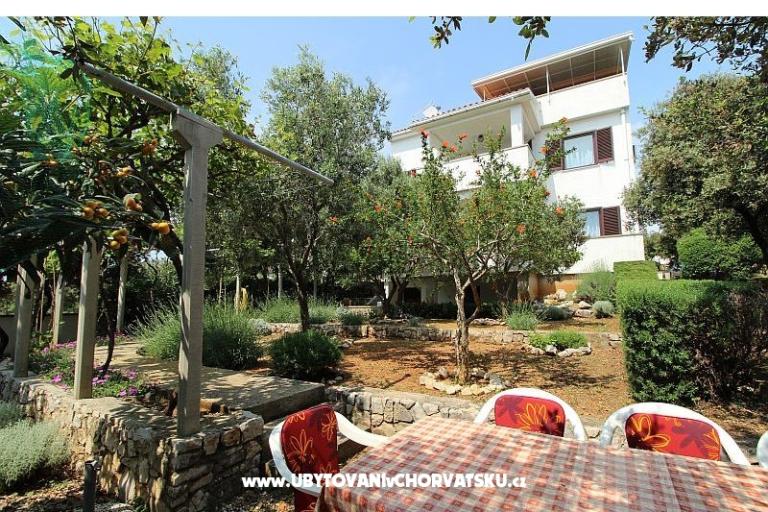 Apartments Salvia island Pag Mandre – photo 2