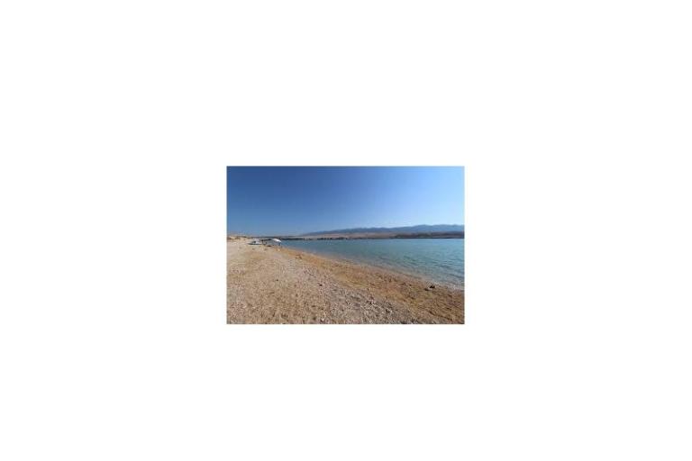 Apartments Salvia island Pag Mandre – photo 8