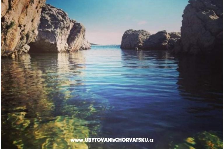 Villa Lilly (apartmani) – photo 8