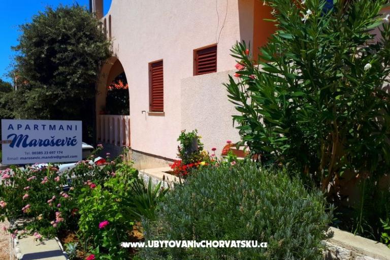 Apartments Marošević – photo 16