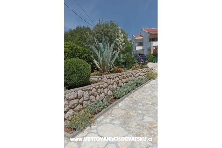 Apartments Pastorčić Ivo  – photo 22