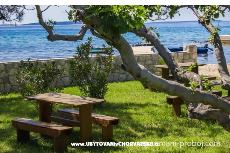 Apartments Proboj – photo 11