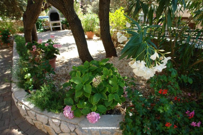 Apartments Josipa – photo 6