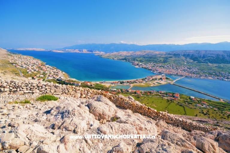 Apartments Lazic – photo 6