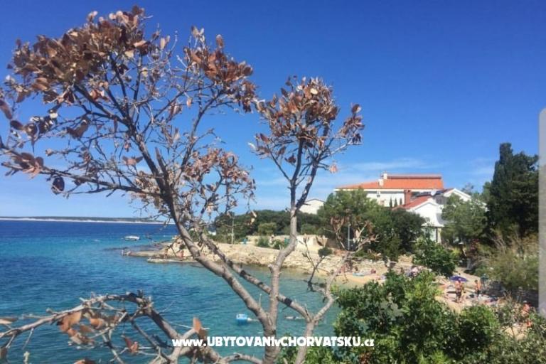 Apartments Mandre – photo 6