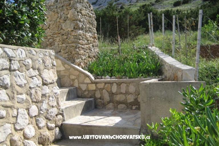 Apartments Pag – photo 4