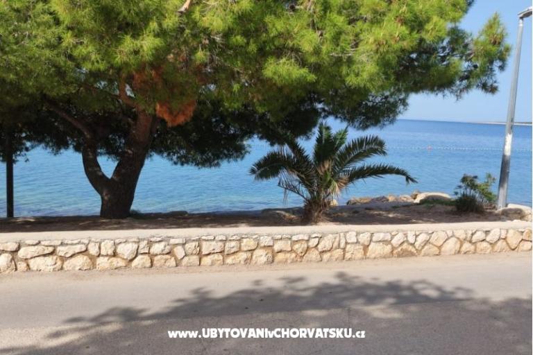 Dolphin view + pool by the beach – photo 7
