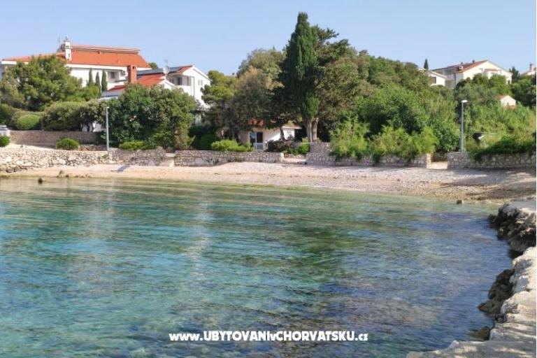 Dolphin view + pool by the beach – photo 9