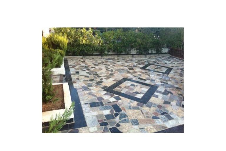 Lola – photo 4