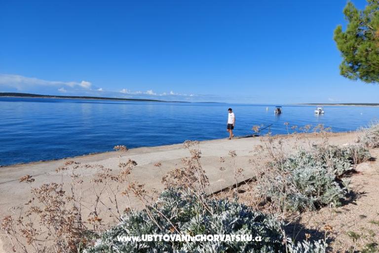 Stargo Apartments – photo 14