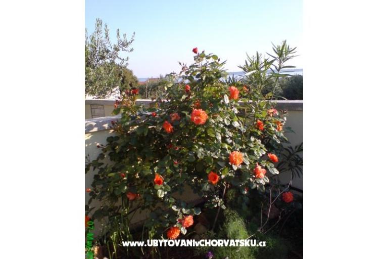 Marea Apartments Mandre – photo 6