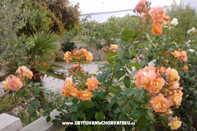 Marea Apartments Mandre – photo 8