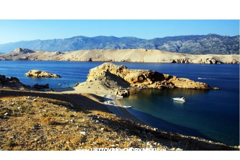 Pag Apartments – photo 3