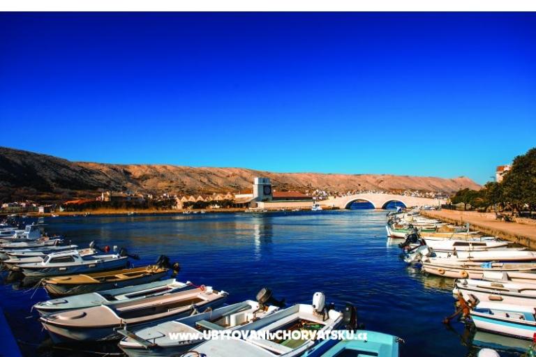 Premium Zec – photo 10