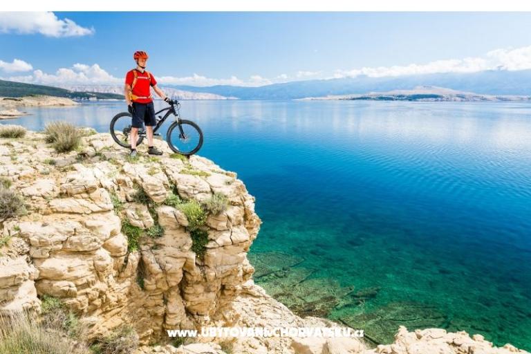 Premium Zec – photo 12