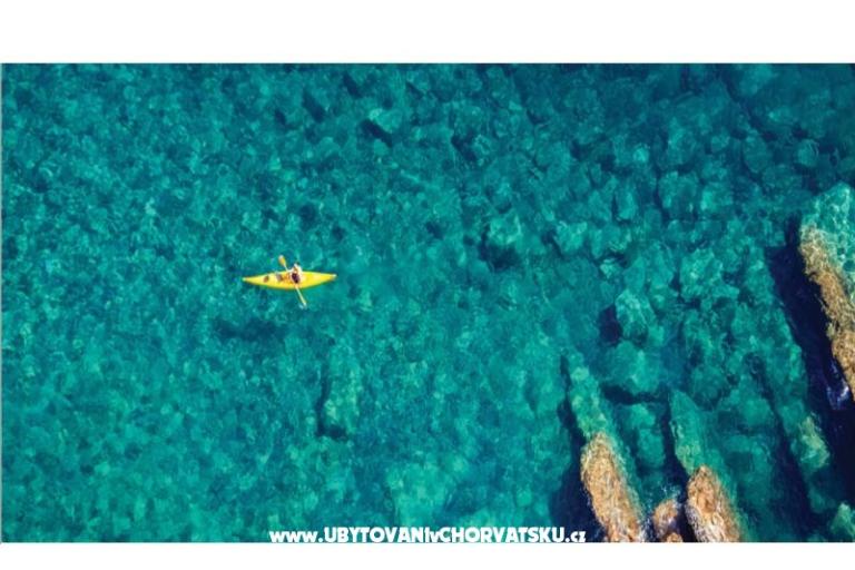 Premium Zec – photo 14