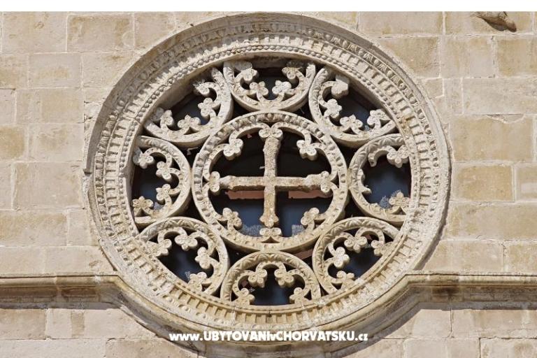 Premium Zec – photo 6