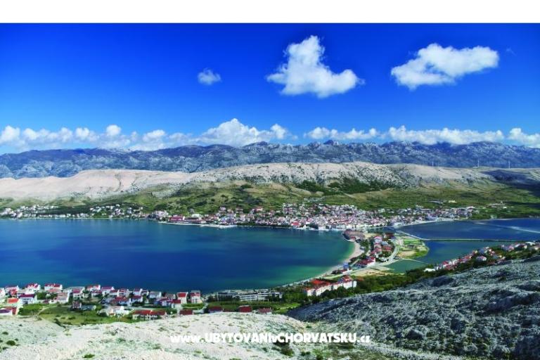 Premium Zec – photo 8