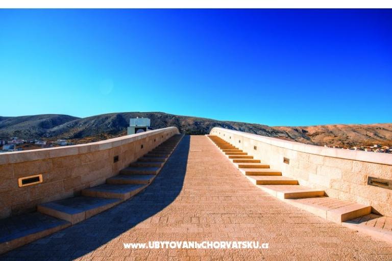 Premium Zec – photo 9