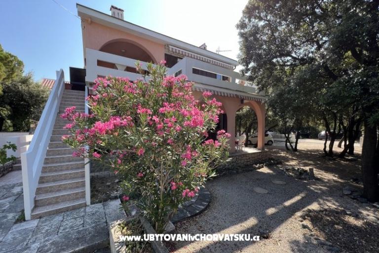 Simuni Holiday home – photo 2