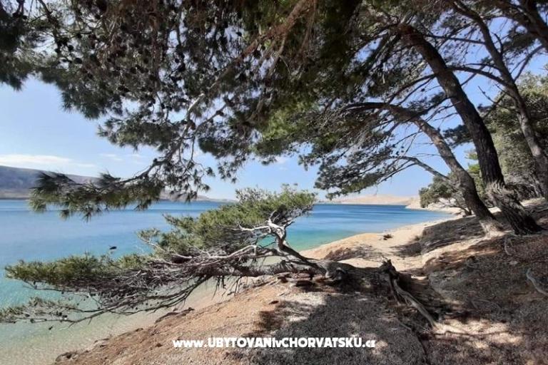 Rooms Magdalena – photo 9