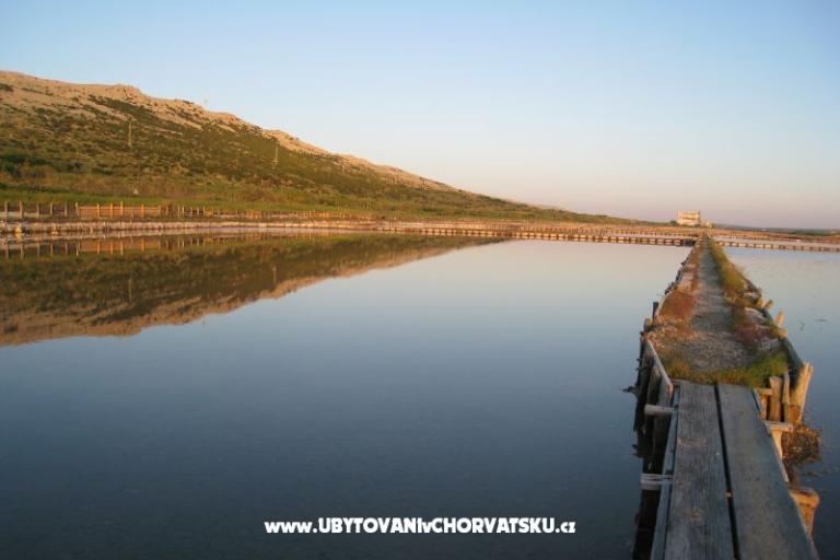 Stonehouse Dana – photo 12