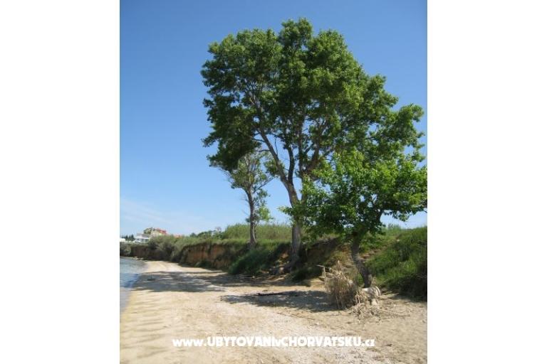 Stonehouse Dana – photo 9