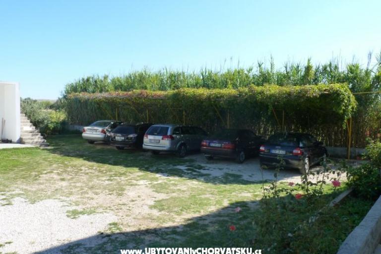  Sirena – photo 8