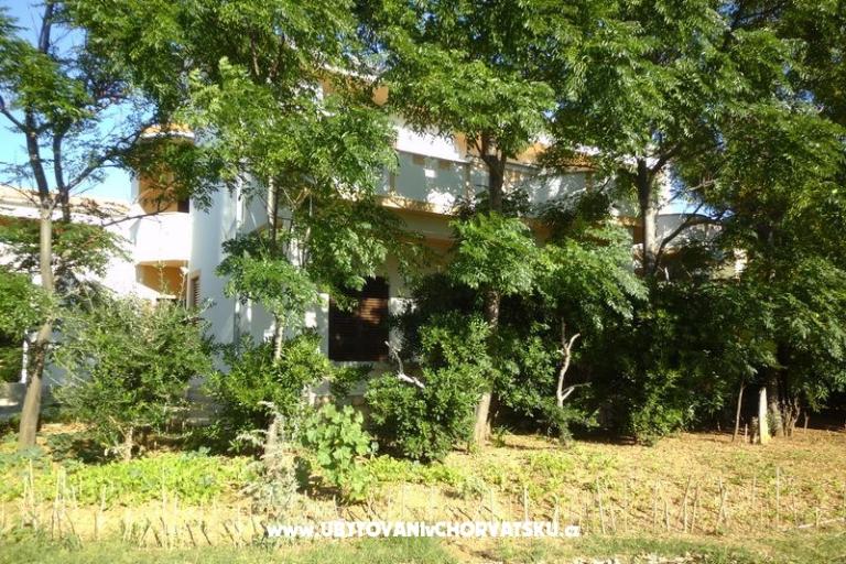 Villa Jelena – photo 11